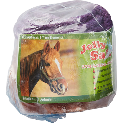 Natural Himalayan Salt on a Rope Salt Block Horse Treat